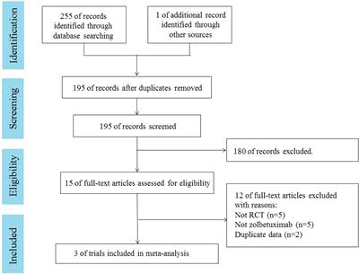 Efficacy and safety of zolbetuximab for first-line treatment of advanced Claudin 18. 2-positive gastric or gastro-esophageal junction adenocarcinoma: a systematic review and meta-analysis of randomized controlled trials